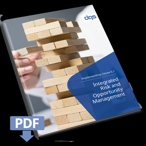 cover sheet for white paper IROM, integrated risk and opportunity management, with pdf