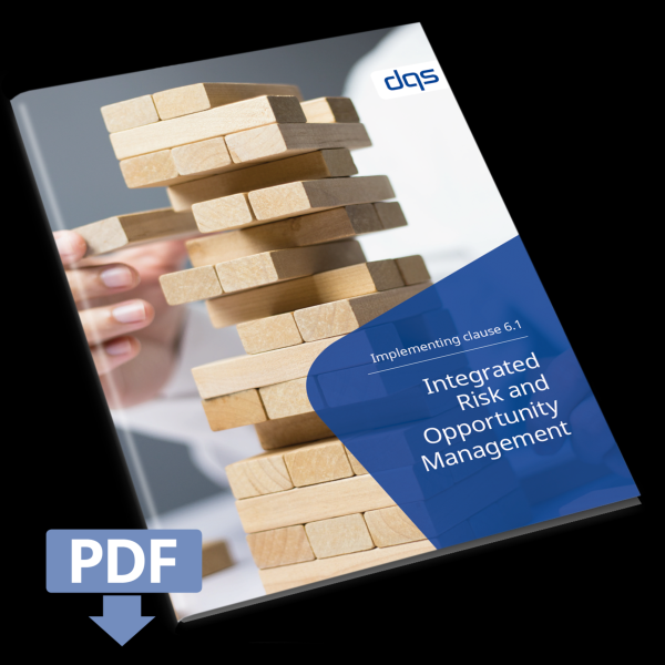 cover sheet for white paper IROM, integrated risk and opportunity management, with pdf